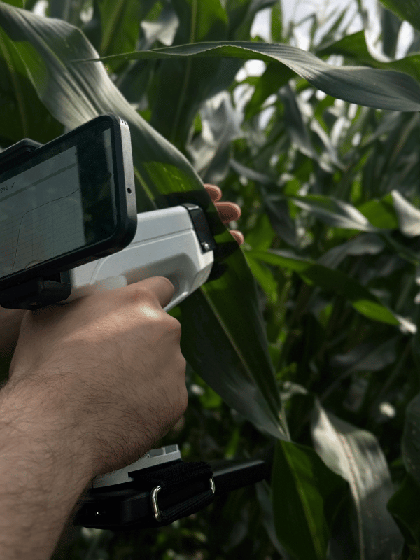 ScanSpectrum measurement in a corn field